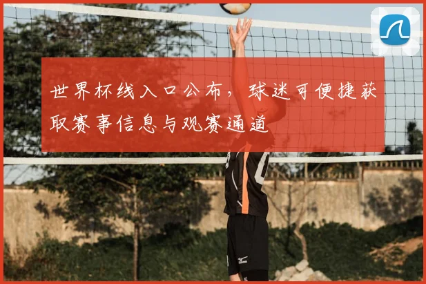 世界杯线入口公布,球迷可便捷获取赛事信息与观赛通道