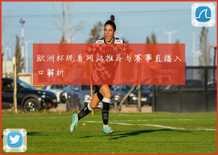欧洲杯观看网站推荐与赛事直播入口解析