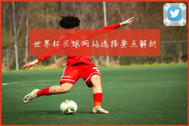 世界杯买球网站选择要点解析